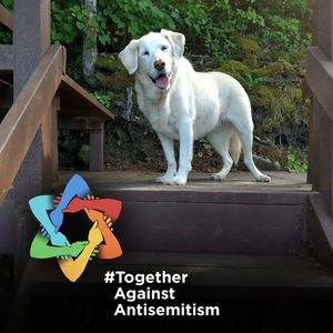 Meet your Posher, Cynthia